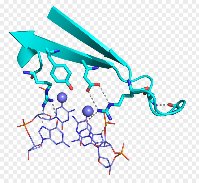 Guanosine Research Laboratory Epigenetics Methyl-CpG-binding Domain Protein 2 DNA Methylation PNG