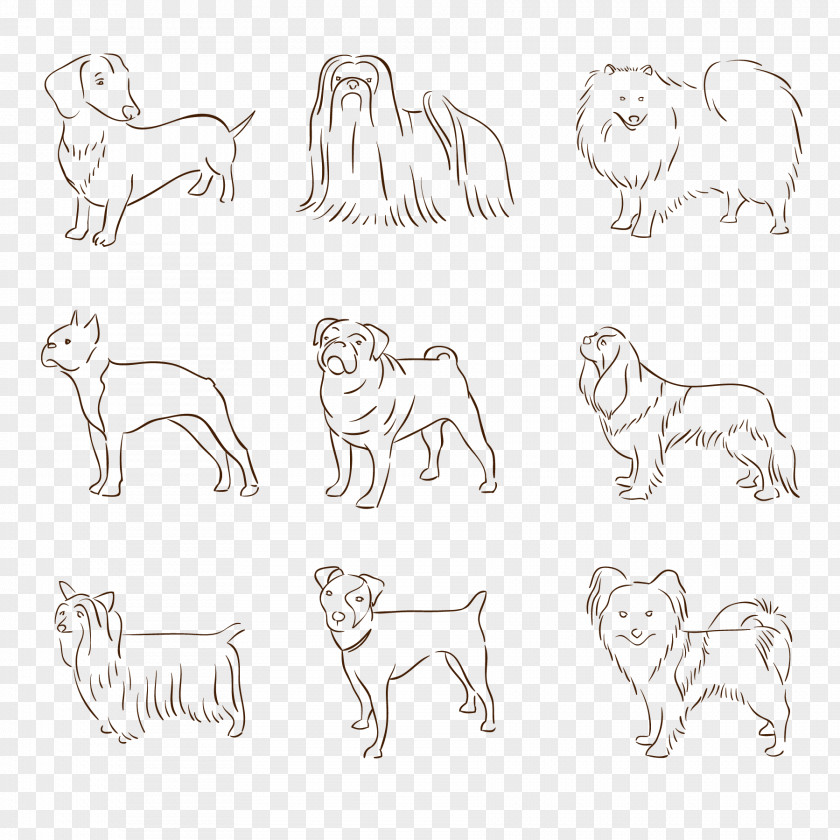 Hand-drawn Line Design Pet Dog Vector Material Shar Pei Dachshund Shih Tzu Pug PNG