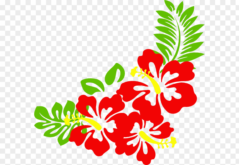 Hibiscus Frame Cliparts Free Content Clip Art PNG
