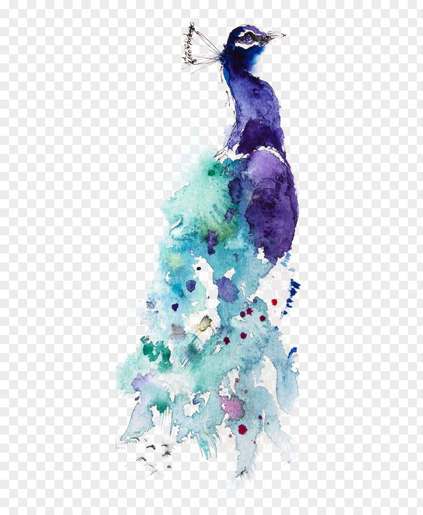 Peacock Watercolor Painting Drawing Peafowl Art PNG