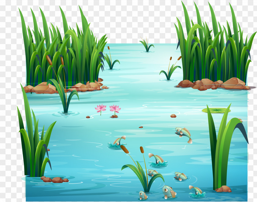 Pig Pen Vector Graphics Royalty-free Stock Illustration Pond PNG