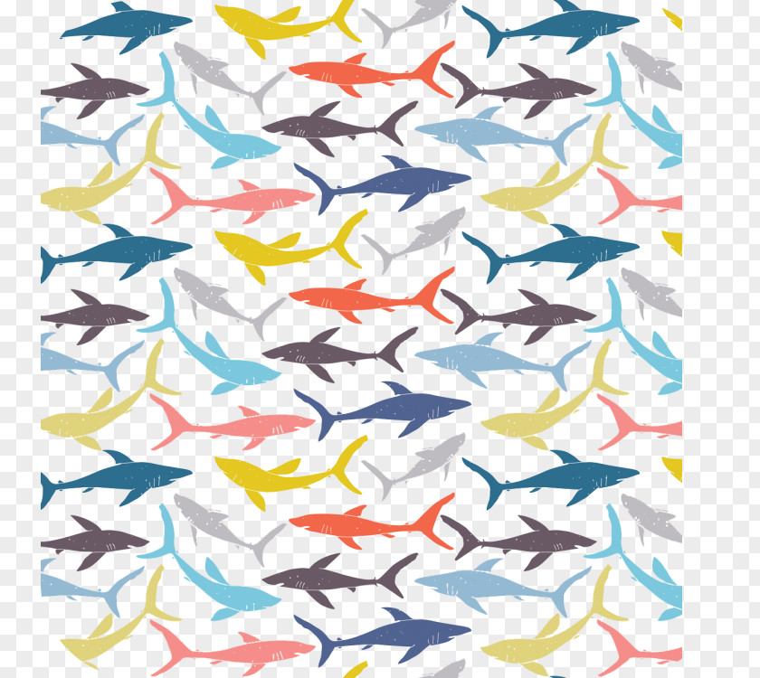 Shark Drawing Clip Art PNG