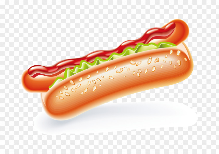 Vector Hot Dog Hamburger Fast Food Sausage Cheeseburger PNG