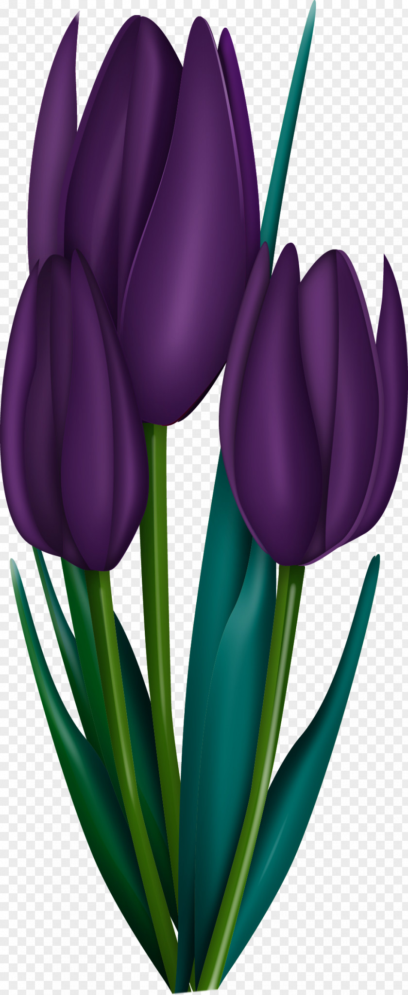60 Flower Art Painting Drawing Clip PNG