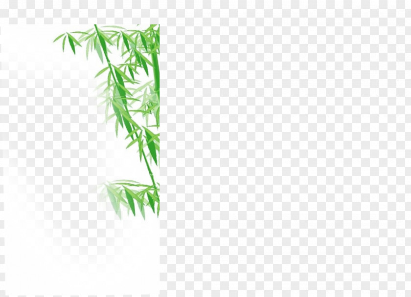 Bamboo Graphic Design Brand Pattern PNG