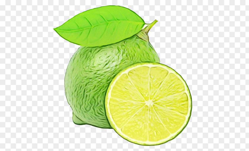 Fruit Plant Persian Lime Key Green Citrus PNG