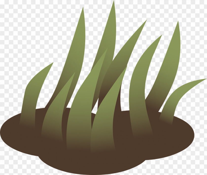 Green Nature Lawn Clip Art PNG