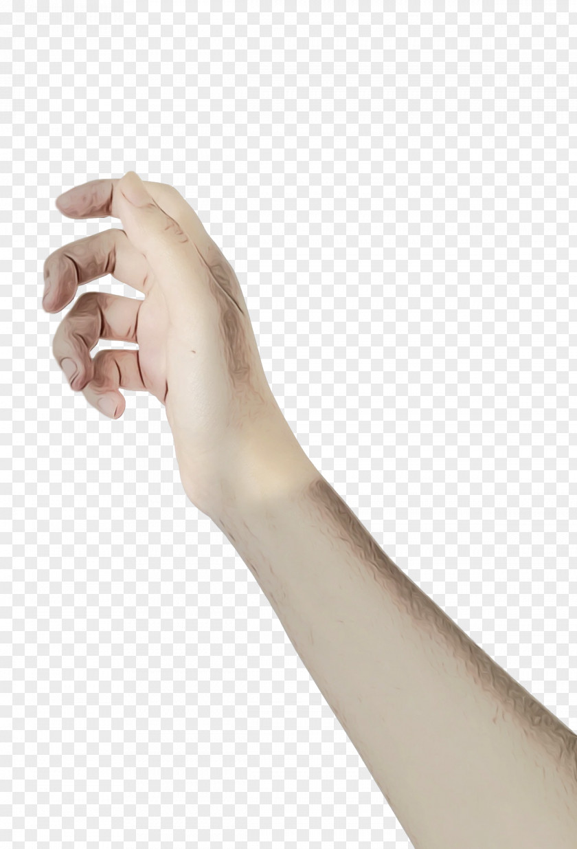 Joint Hand Model H&m Human Skeleton PNG