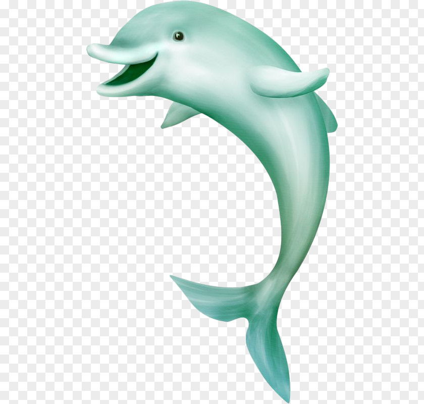 Painted Pale Blue Dolphin Sea Whale Digital Image Clip Art PNG