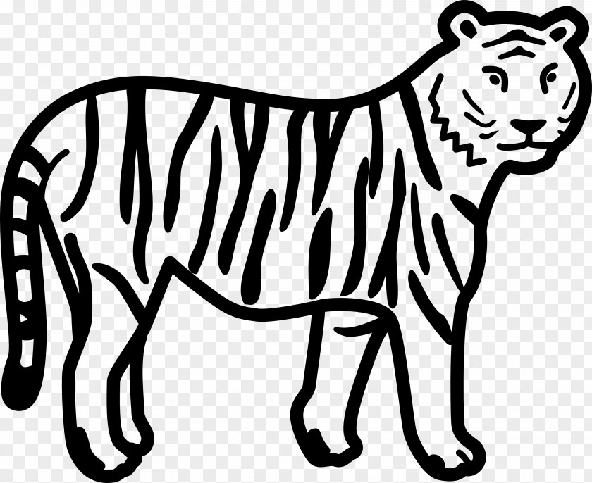 Black And White Pictures Of Animals Bengal Tiger Clip Art PNG