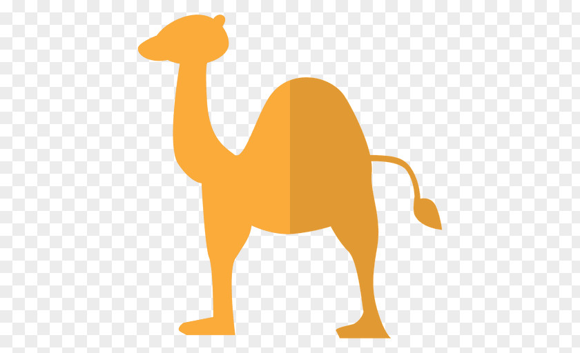 Camel Bactrian Dromedary Cartoon Clip Art PNG
