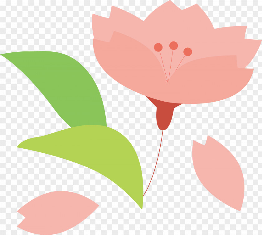 Cherry Flower Floral PNG
