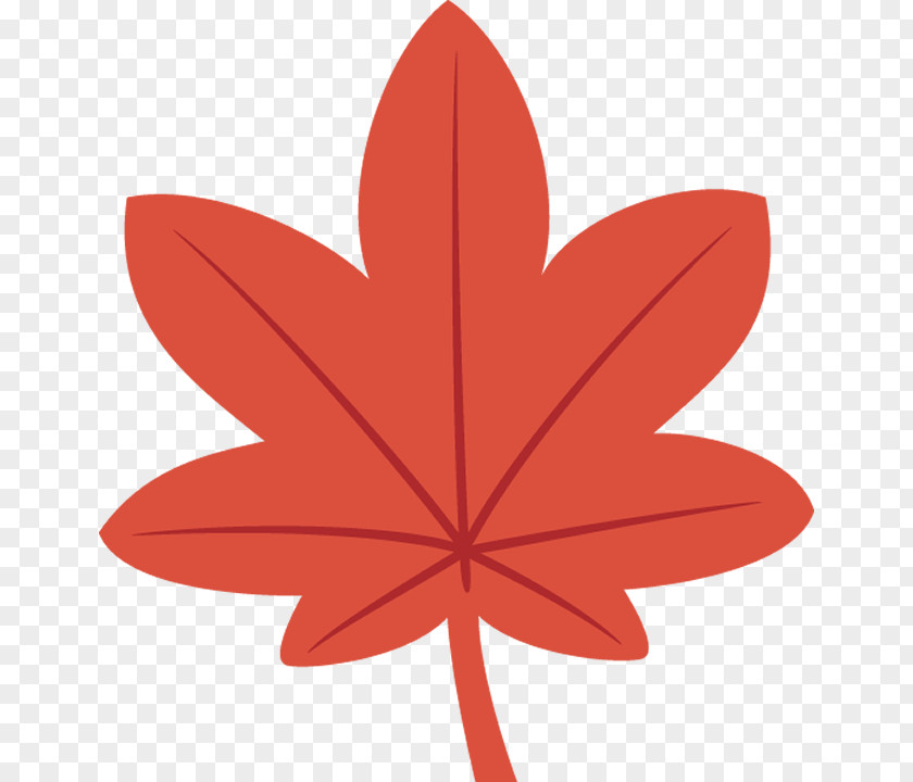 Flowering Plant Petal Maple Leaf PNG