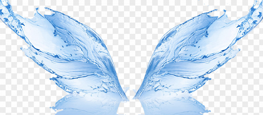 Free Water Butterfly Effect Pull Image Filter Reverse Osmosis Membrane Treatment PNG