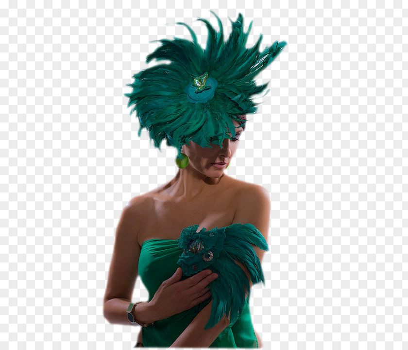 Hat Woman With A Feather Fashion Headband PNG
