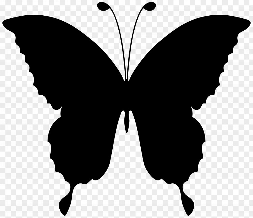 Butterfly Clip Art Illustration Openclipart PNG