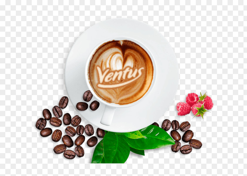 Cocoa Bean Logo Chocolate Milk PNG