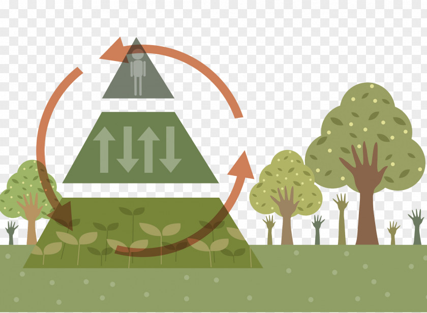 Forest Scene Euclidean Vector Cartoon Illustration PNG