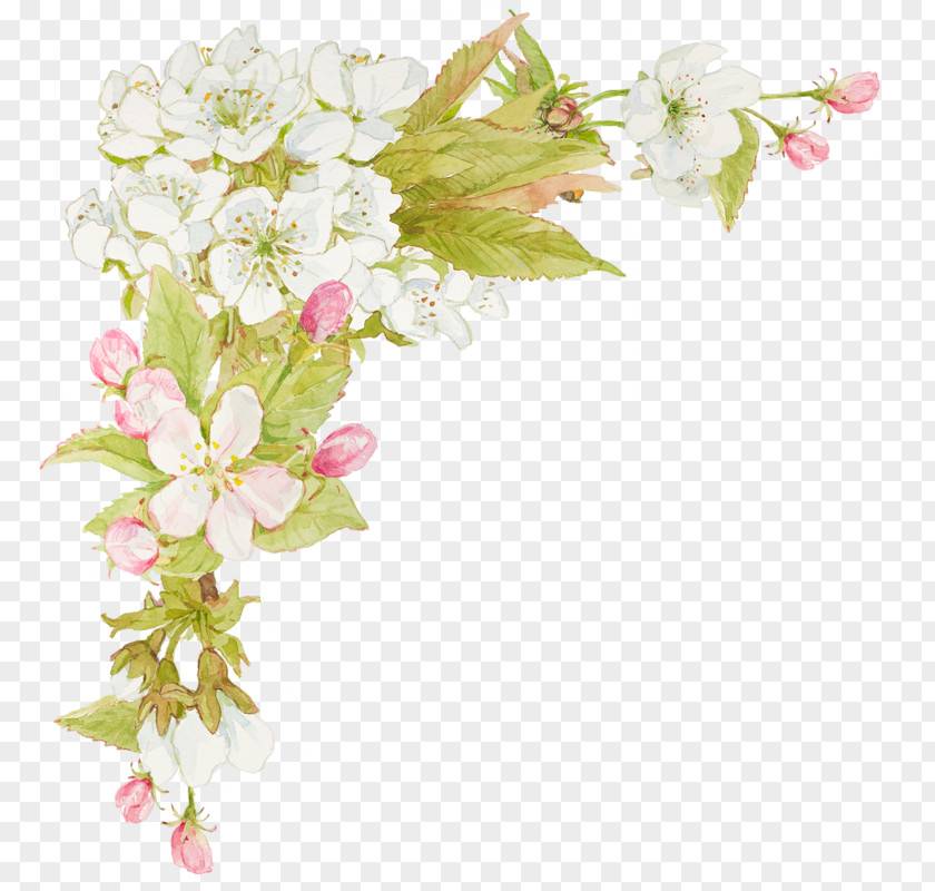 Jasmine Flowers Flower Watercolor Painting Floral Design PNG