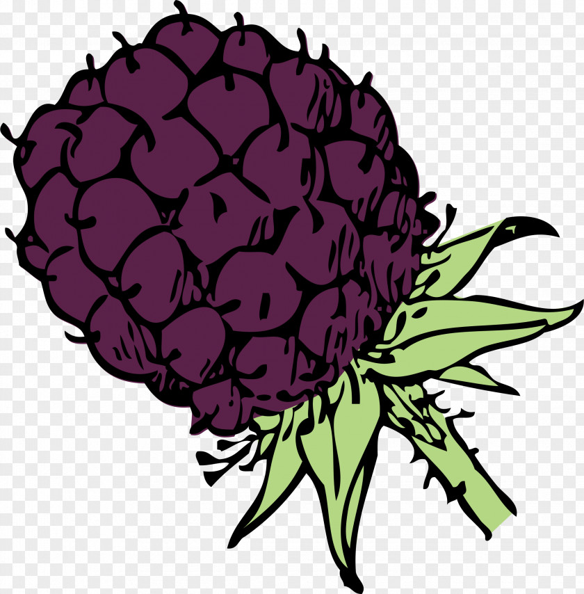 Blackberry Stew Coloring Book Fruit Clip Art PNG
