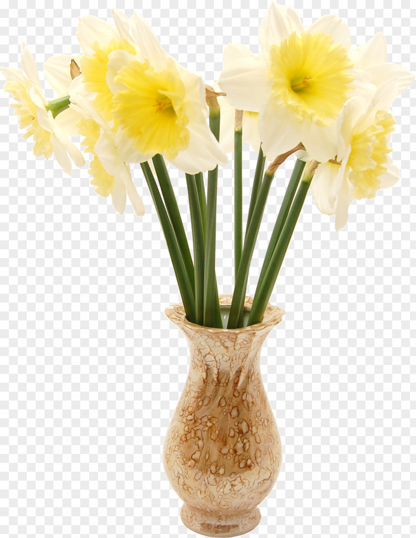 Floral Design PNG