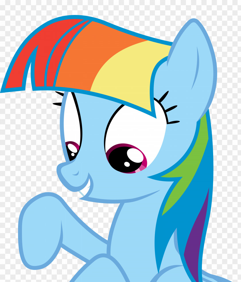 Mane Vector My Little Pony Rainbow Dash Twilight Sparkle PNG