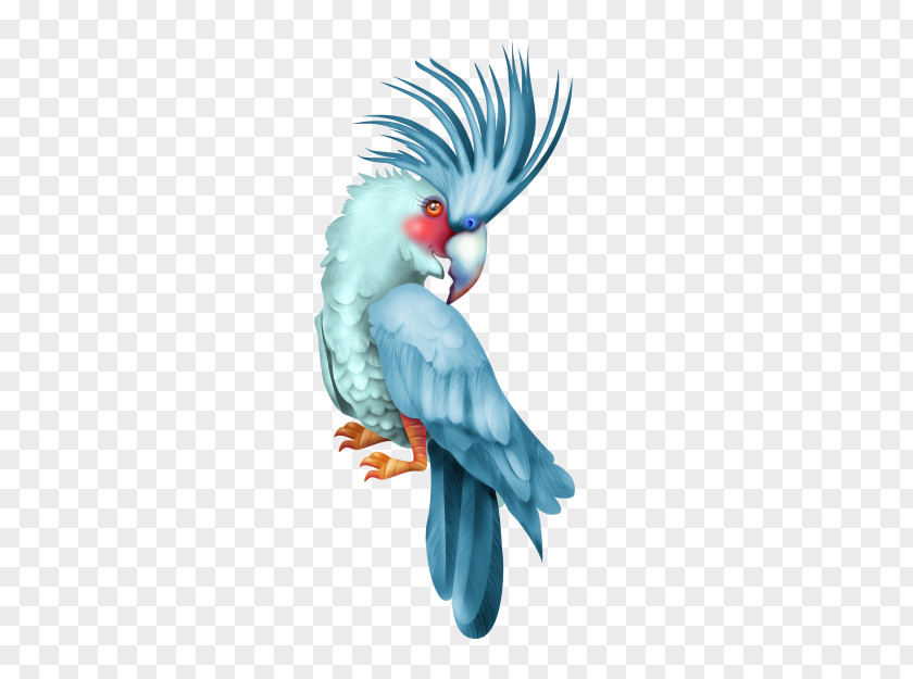 Birds Streamer Budgerigar Bird Parakeet Macaw Feather PNG