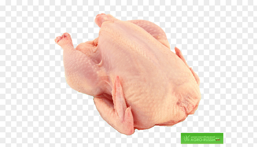 Broiler Chicken As Food Meat Flesh PNG as food Flesh, chicken clipart PNG