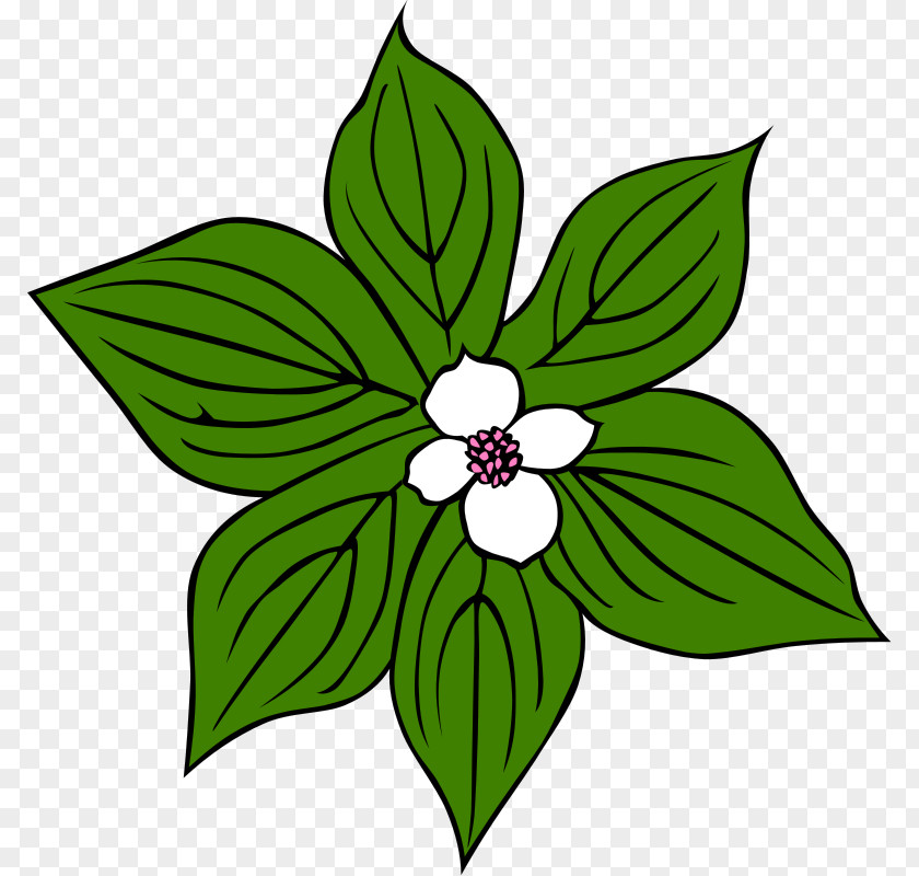 Saxaphone Clipart Flower Green Clip Art PNG