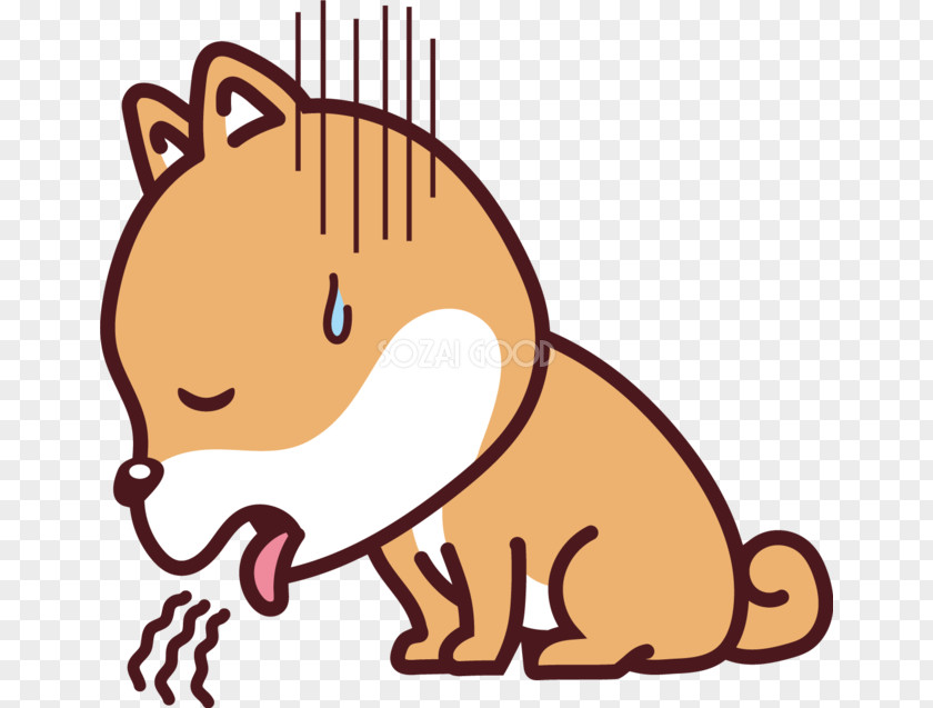 Cat Whiskers Shiba Inu Symptom Disease Canidae PNG