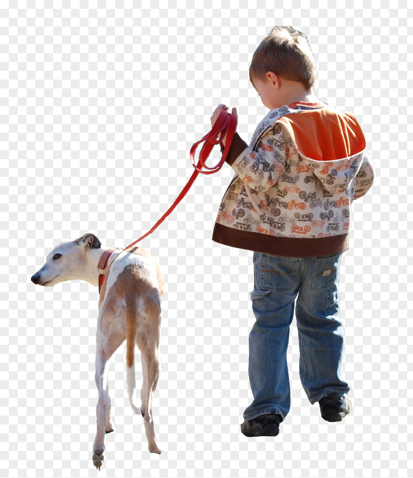Dog Architectural Rendering Architecture Child PNG