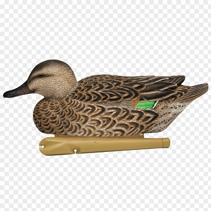 Duck Mallard Goose Decoy Eurasian Teal PNG
