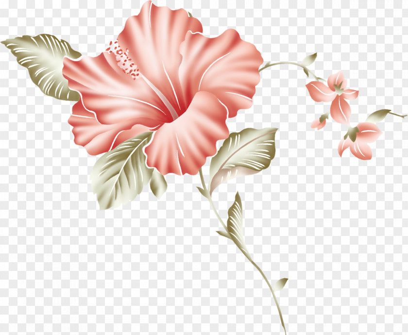 Hibiscus Mallows Flowering Plant Cut Flowers PNG