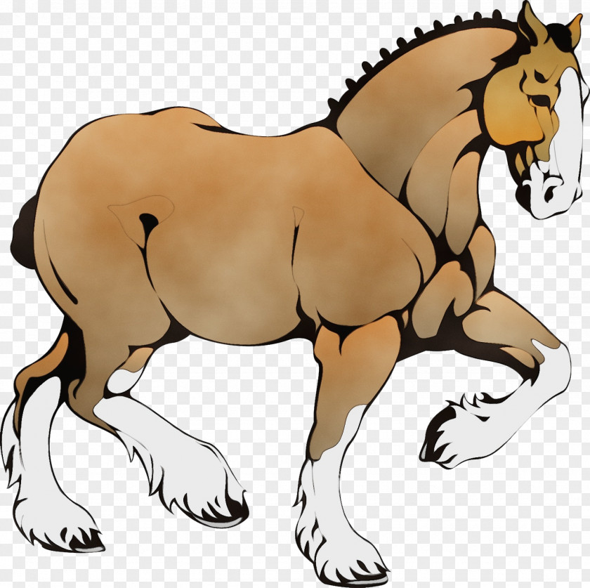Line Art Shetland Pony Horse Animal Figure Cartoon Clip PNG