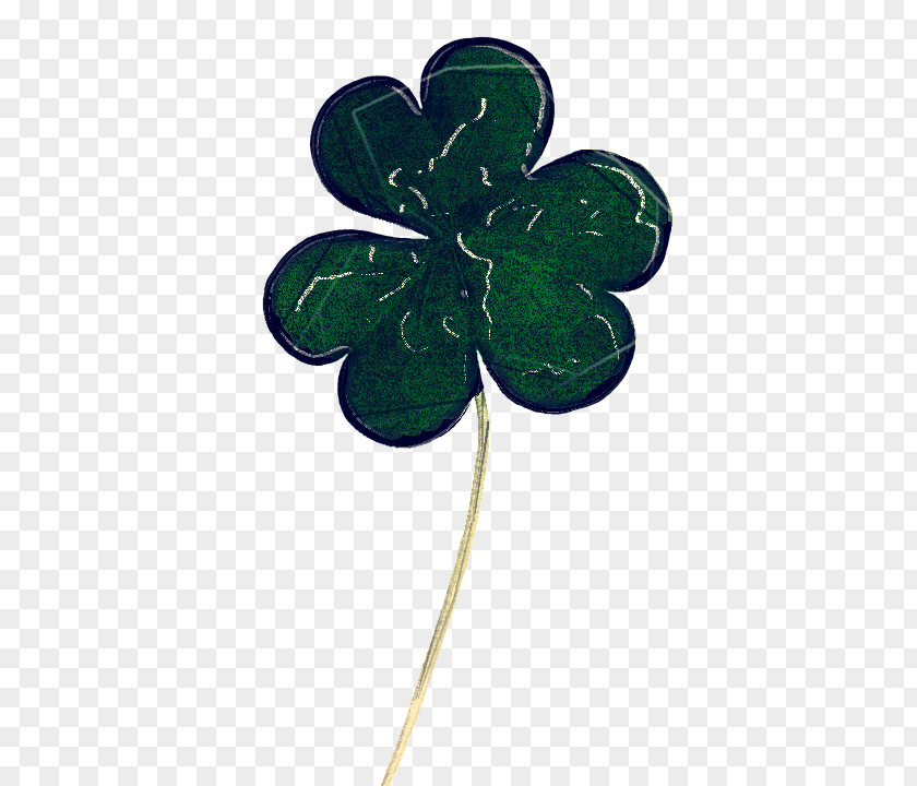 Plant Symbol Shamrock PNG