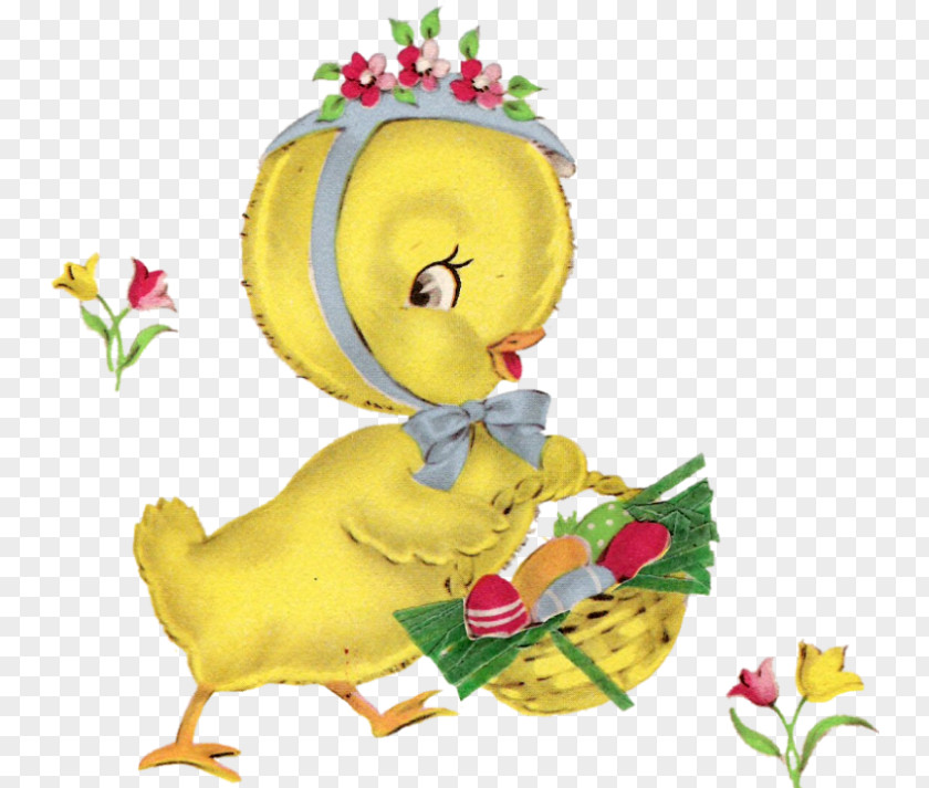 Ques Cygnini Kifaranga Duck Clip Art PNG