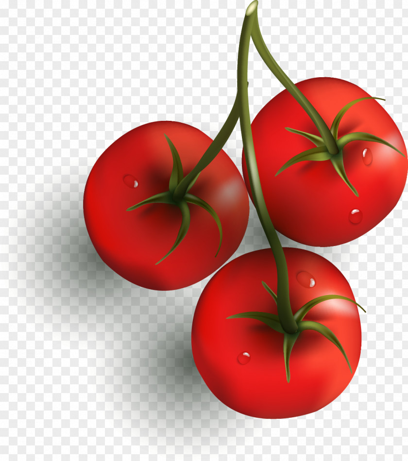 Tomato Cherry Vegetable Capsicum Chili Con Carne Clip Art PNG