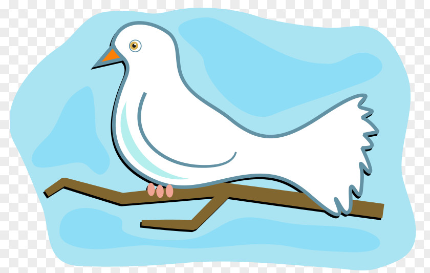White Dove Columbidae Doves As Symbols Clip Art PNG