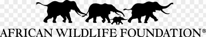 Africa Nature Kenya African Wildlife Foundation World Wide Fund For Non-profit Organisation PNG