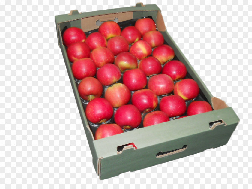 Apple Royal Gala Natural Foods Local Food Cherry PNG