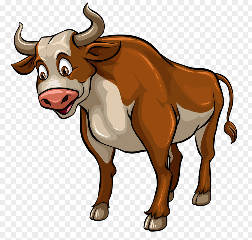 Bull Cattle Vector Graphics Royalty-free Stock Illustration PNG