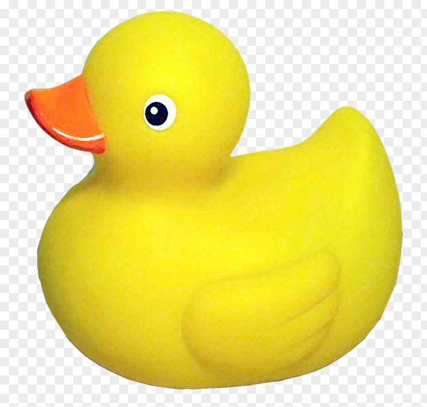 Duck Rubber Clip Art PNG