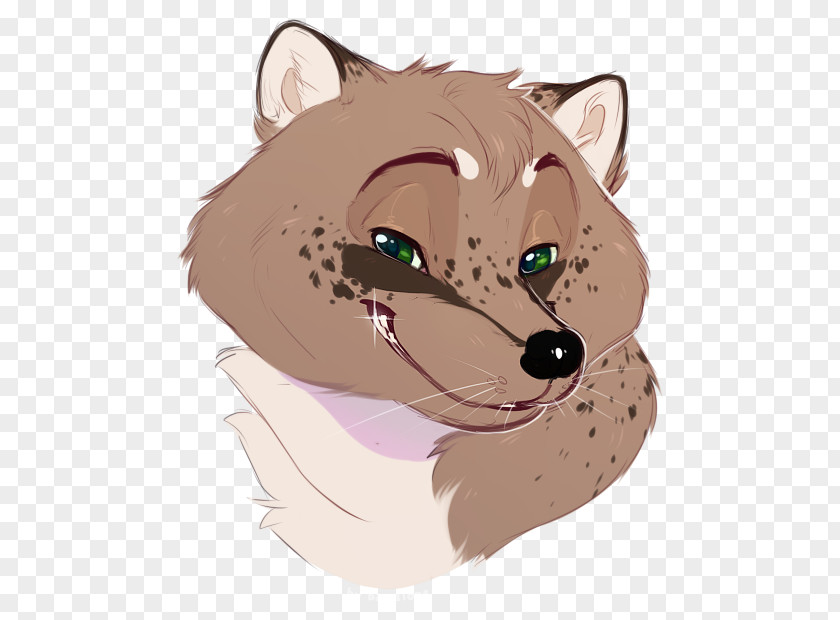 Fur Brown Cartoon Head Whiskers Snout Nose PNG