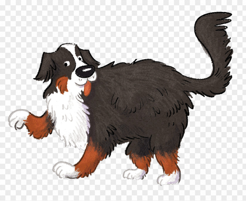 Puppy Dog Breed Bernese Mountain Snout PNG