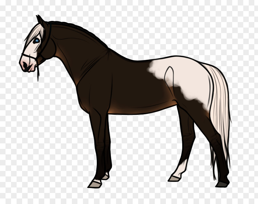 Horse Stallion Goat Pony Mane PNG