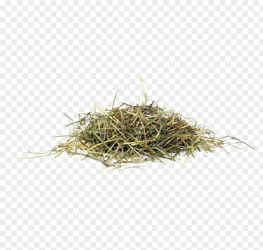 Junshan Yinzhen Plant Goat Cartoon PNG