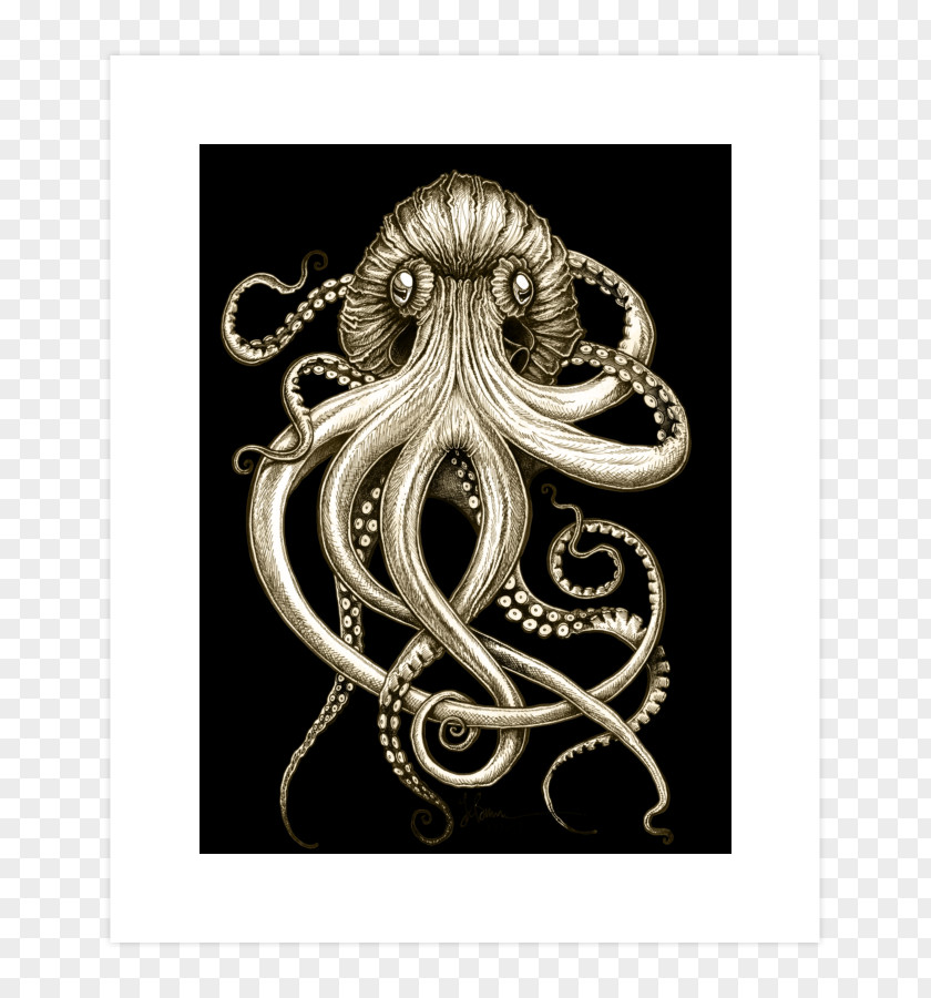 Octopus Design By Humans Kraken Cephalopod Art PNG