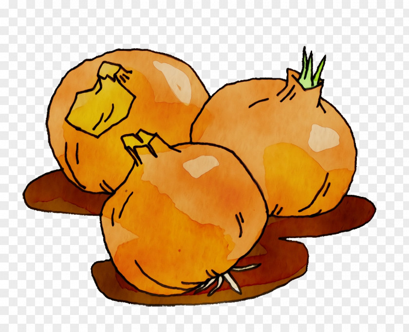 Pumpkin PNG