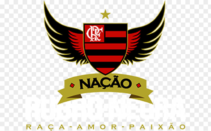 Copa Brasil Clube De Regatas Do Flamengo Fluminense FC Sport Club Corinthians Paulista Brazil 2018 Campeonato Brasileiro Série A PNG
