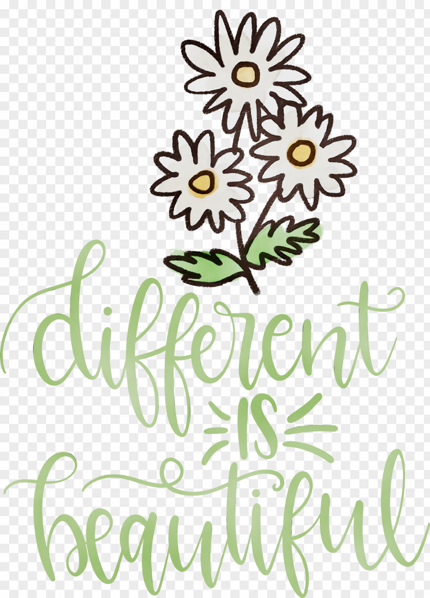 Floral Design PNG